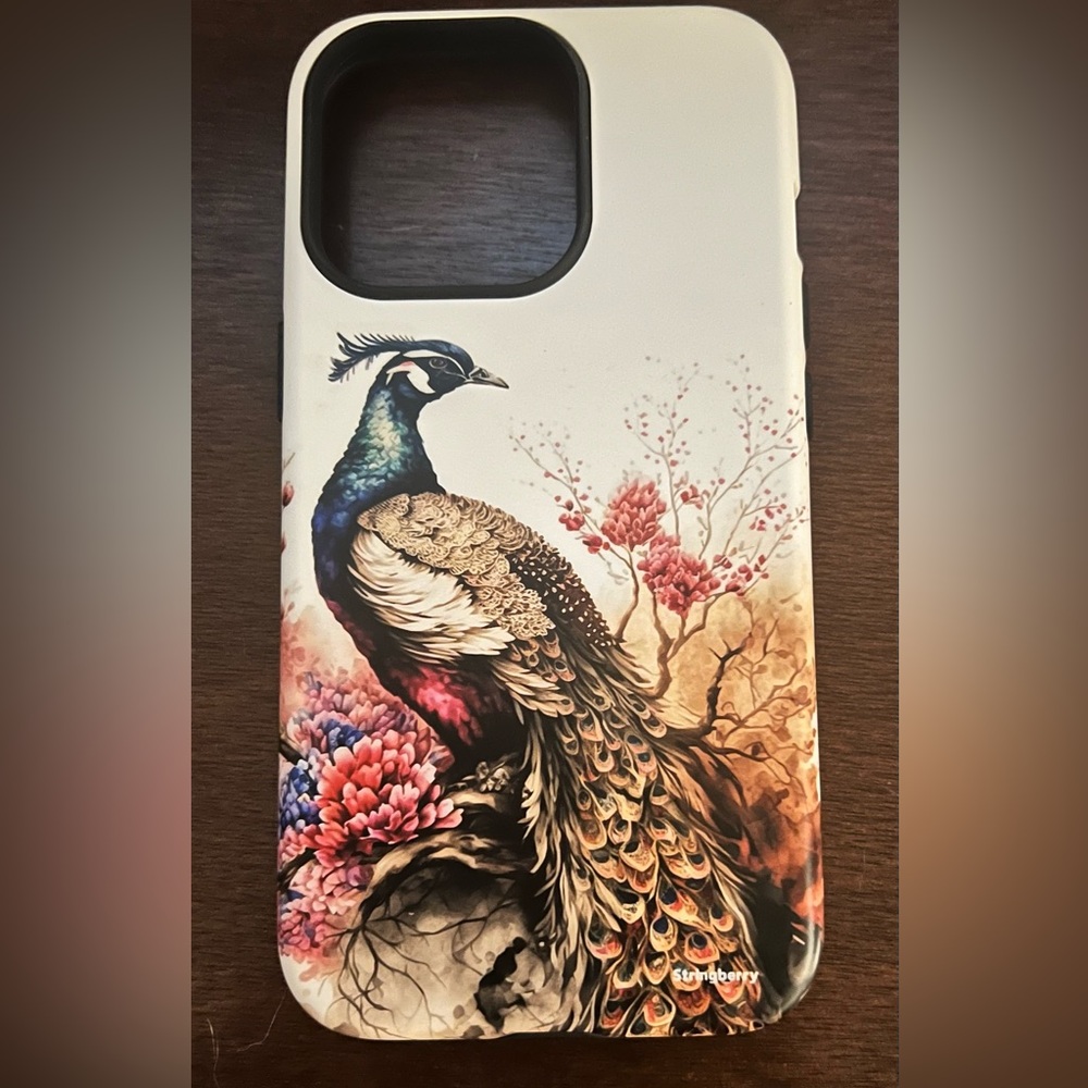 iPhone 13 Pro Case